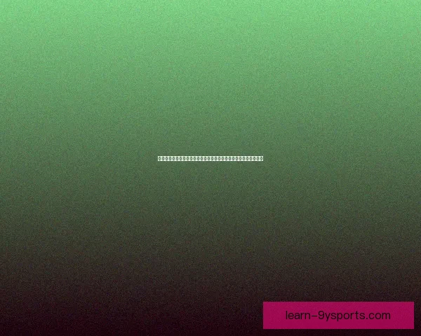 斯旺西俱乐部冬窗引援动态与主帅战术调整前景解析及赛季冲刺布局