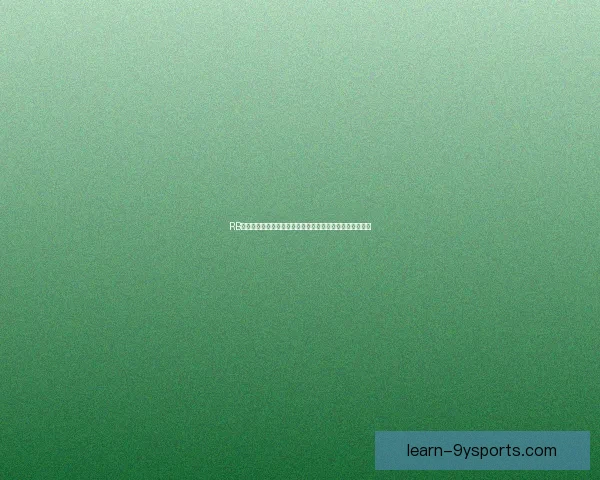 RB莱比锡最新动态曝光，新赛季备战策略与转会计划全面解析