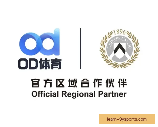 乌迪内斯俱乐部发展历程与未来战略全方位解析