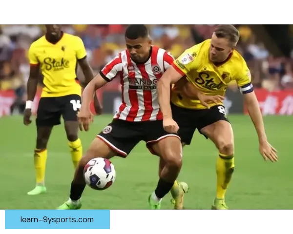 沃特福德最新动态解析：球队战绩提升与未来引援规划揭秘